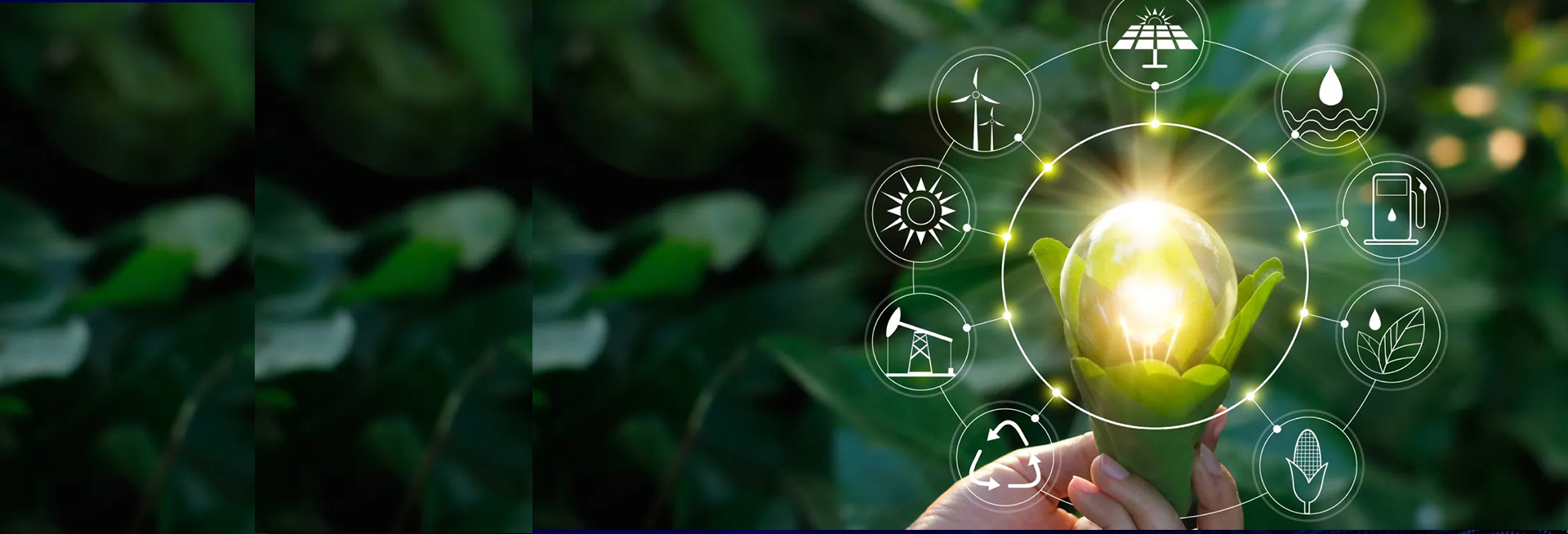 Business Process Services