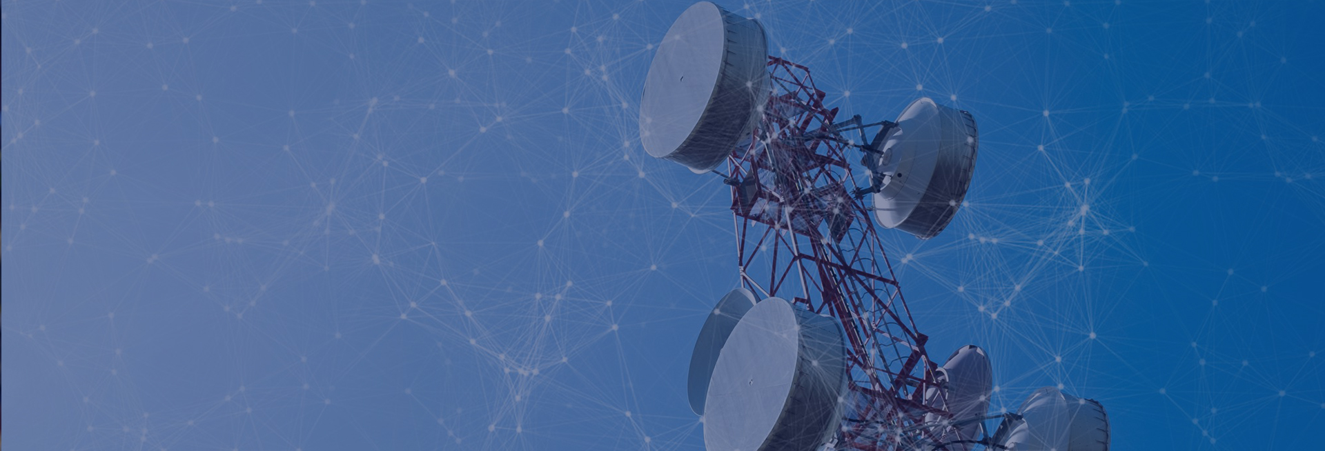 Business Process Services